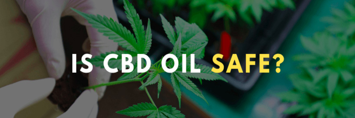 CBD Oil is Legal But is it Safe? - A Nation of Moms