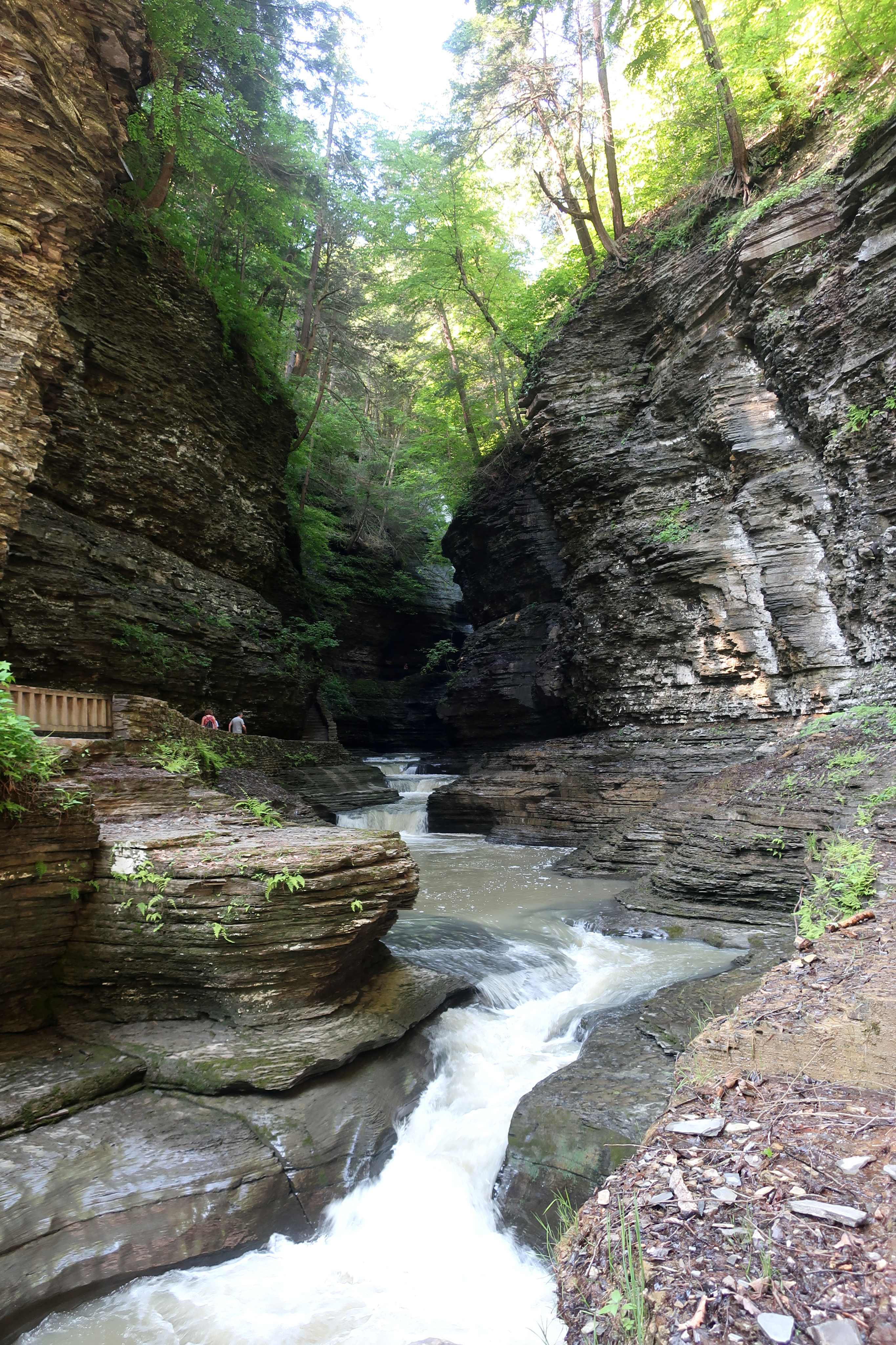 western new york hiking trails