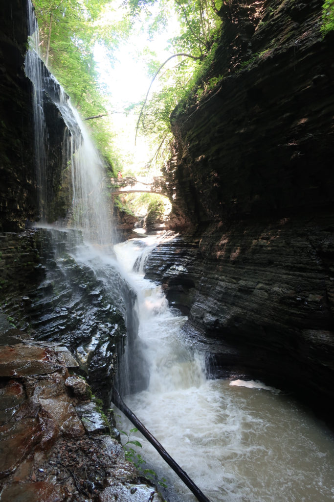 New York Hikes A Nation of Moms