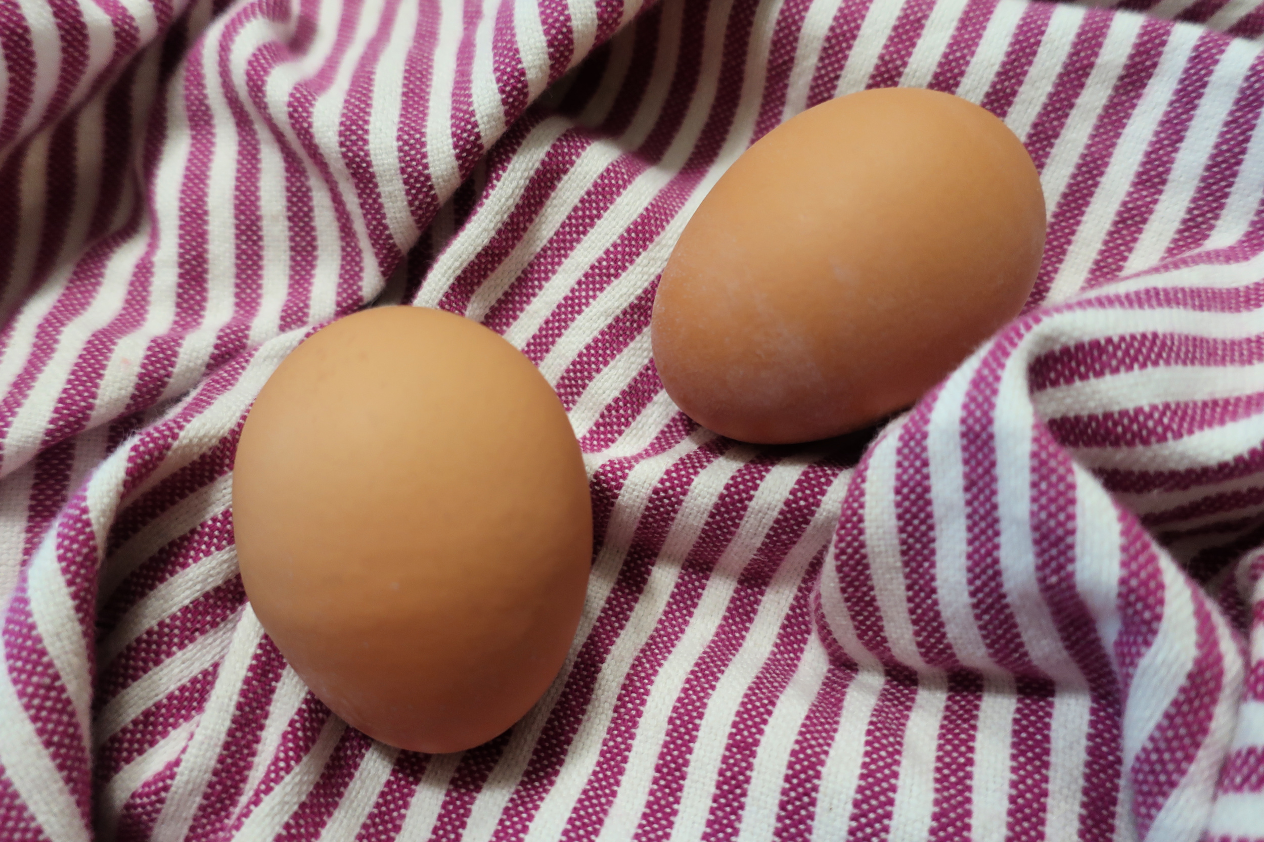 Two organic eggs on a striped dish towel.