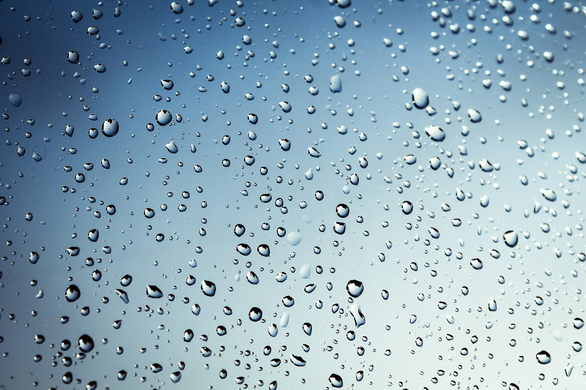 Rain drops on a window.