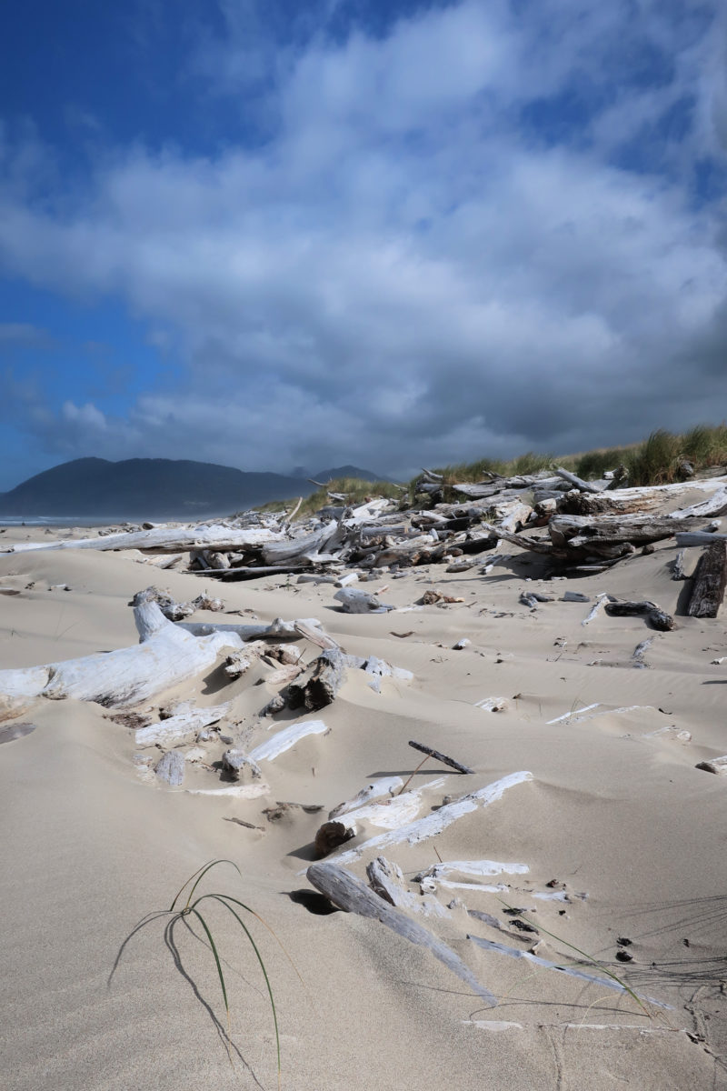 Nehalem Bay State Park, Oregon - A Nation of Moms