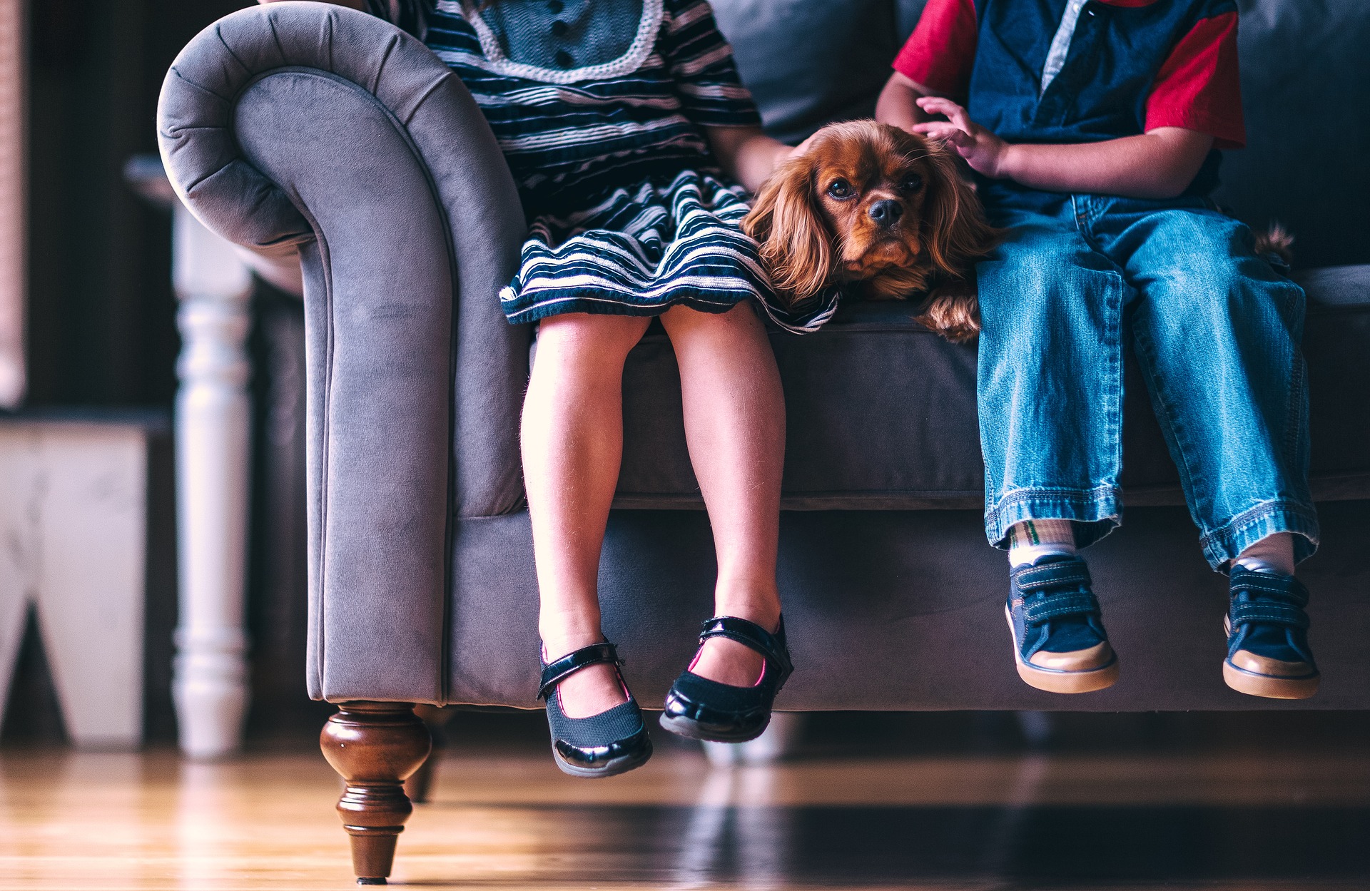 Children sitting with a small dog