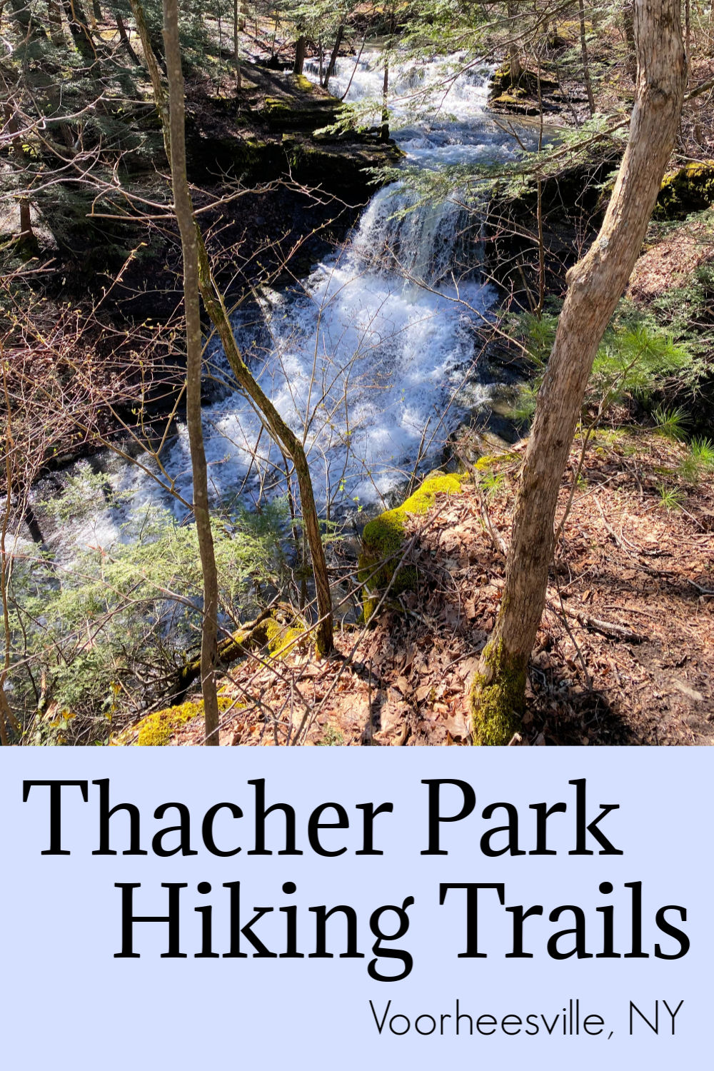 thacher-park-hiking-trails-voorheesville-ny-a-nation-of-moms