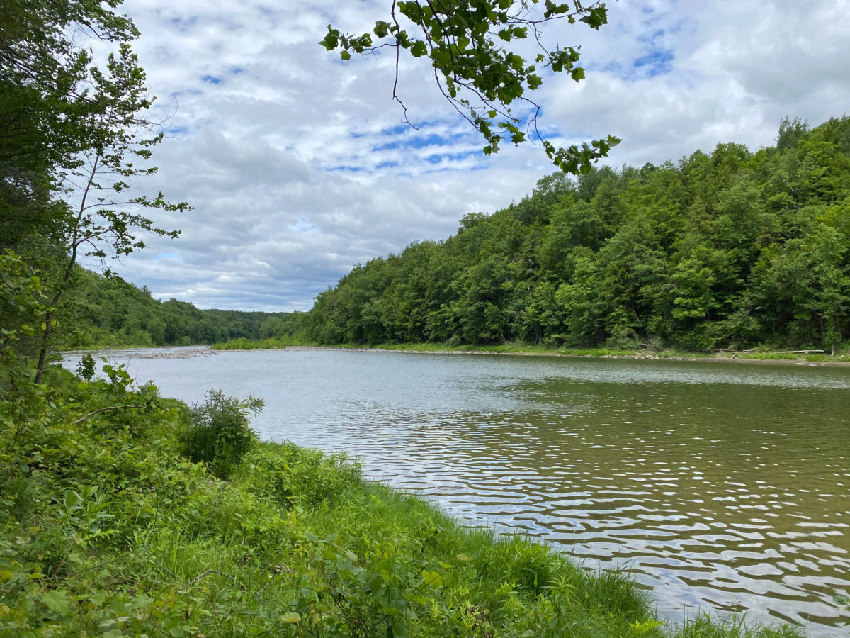 Schoharie Creek Preserve, Schoharie, NY A Nation of Moms