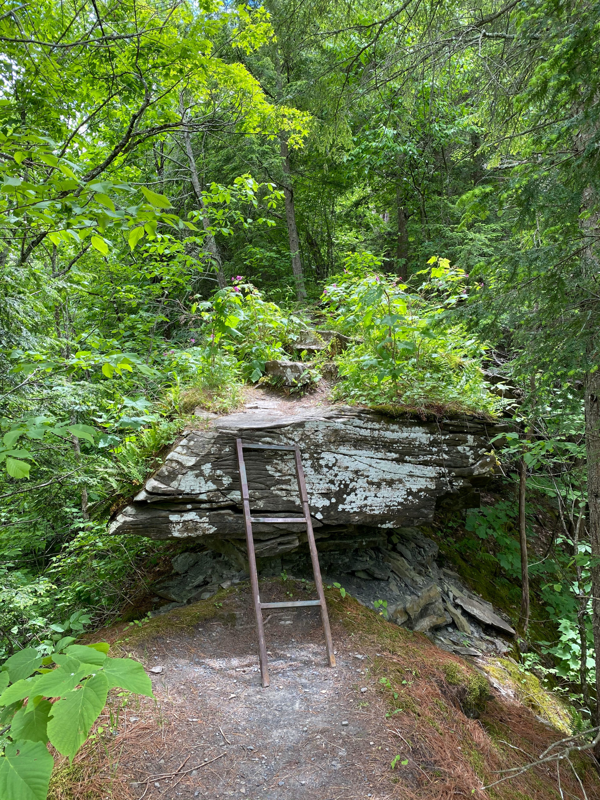 Schoharie Creek Preserve, Schoharie, NY A Nation of Moms