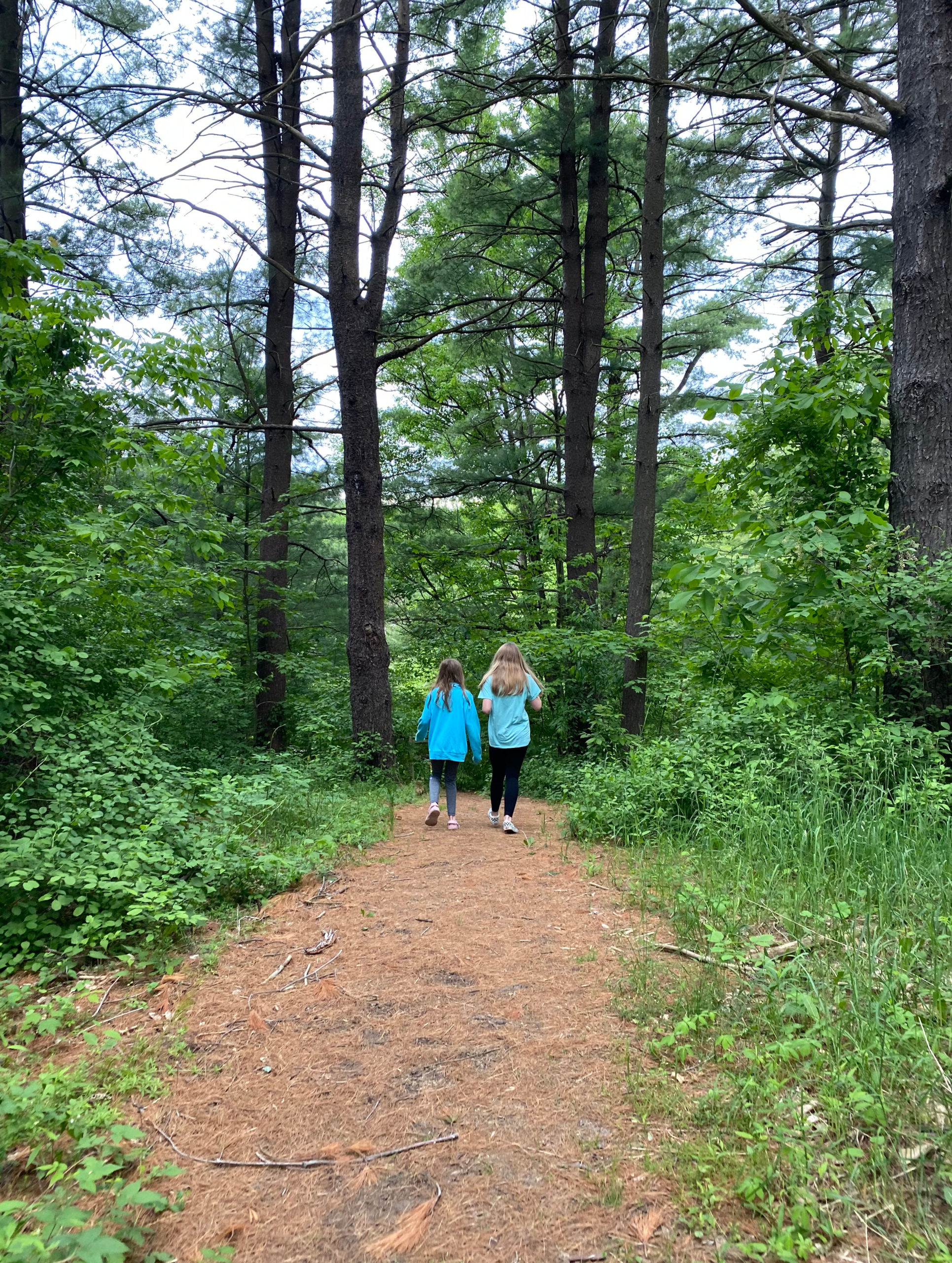 Hikes for Toddlers in the Capital Region A Nation of Moms
