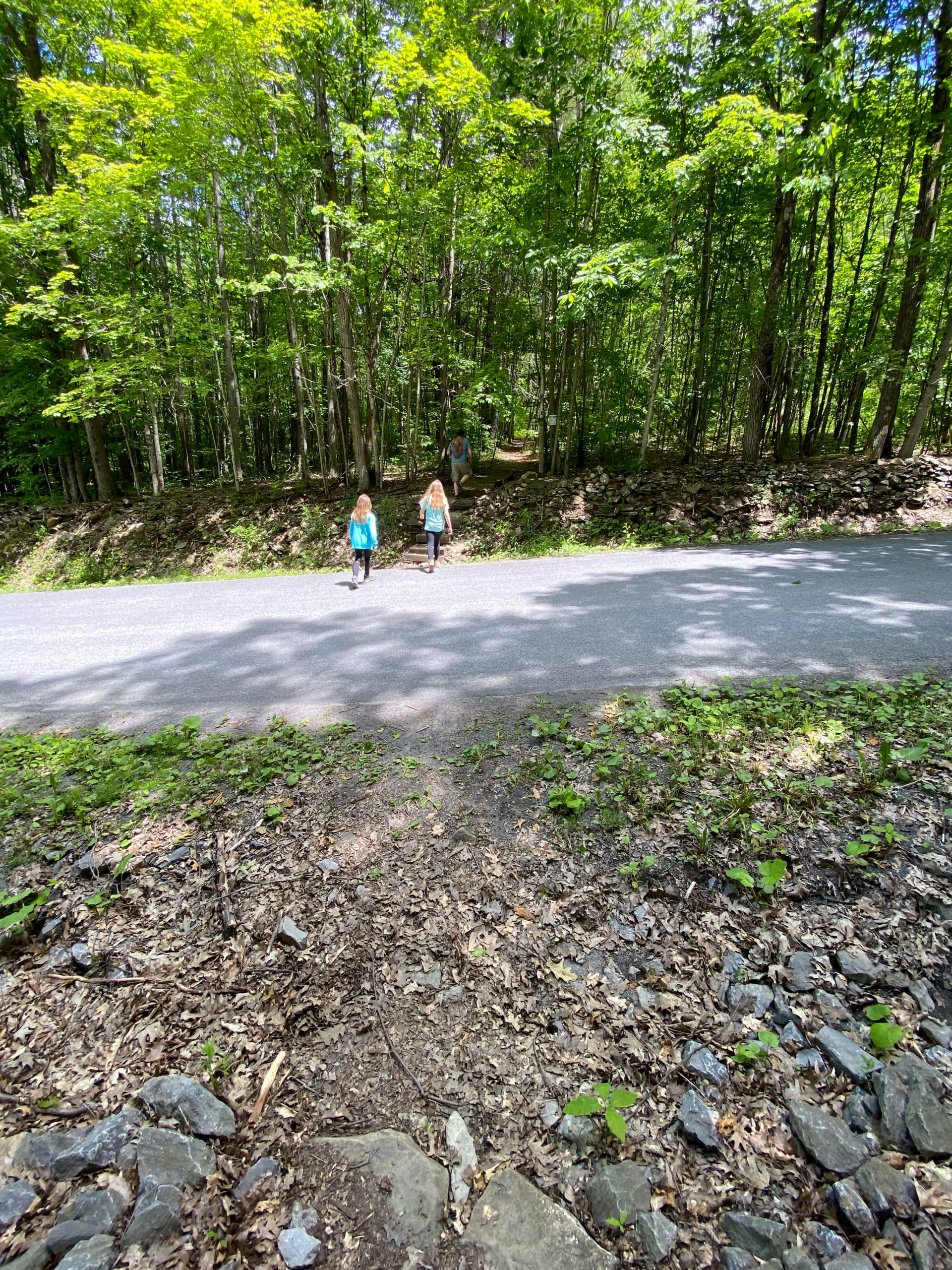 Schoharie Creek Preserve, Schoharie, NY A Nation of Moms