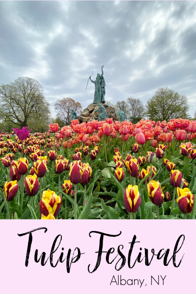 Tulip Festival, Albany, NY A Nation of Moms