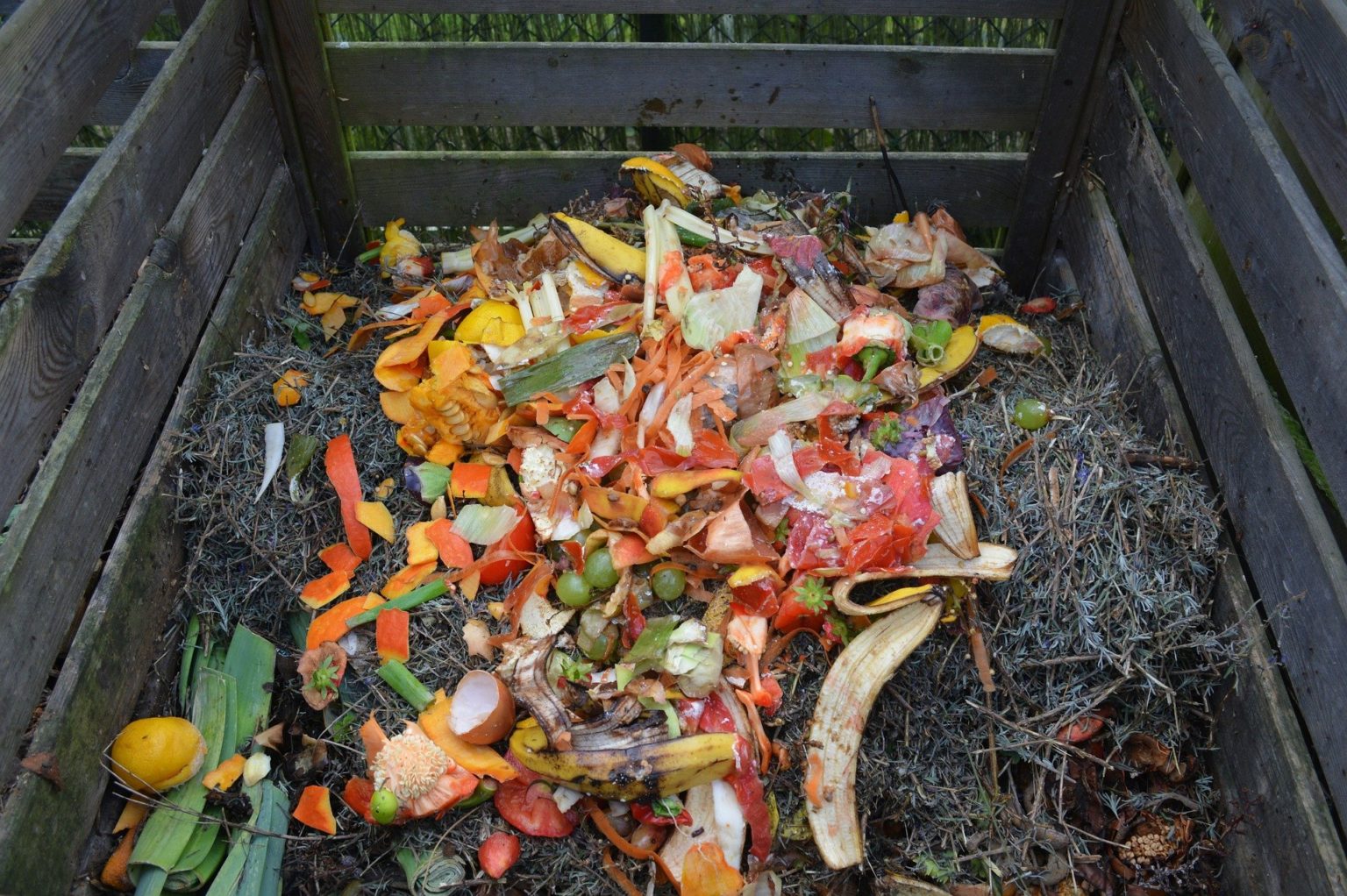The Importance of a Compost Machine and Recycling Food Waste A Nation