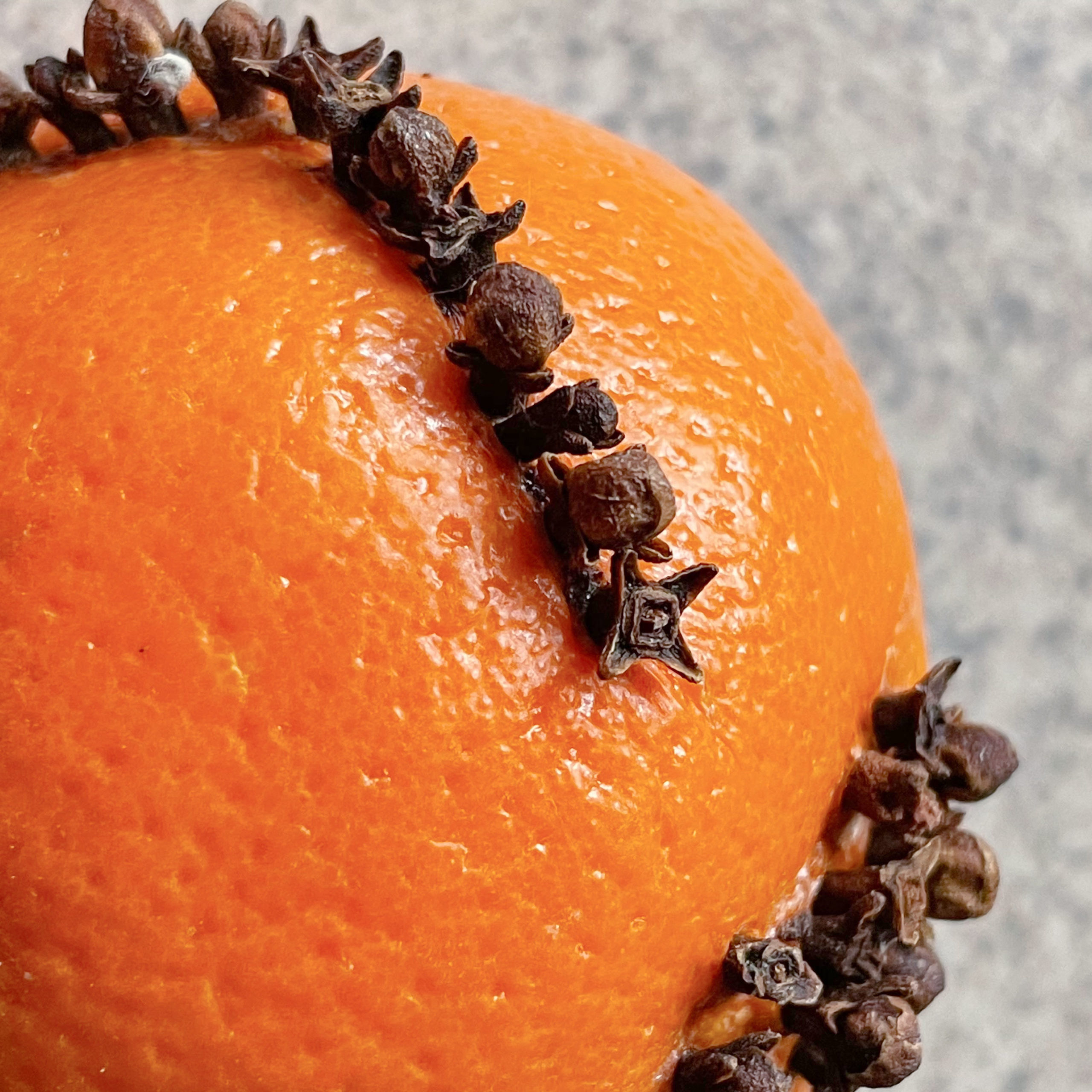 Pomander Balls A Nation of Moms