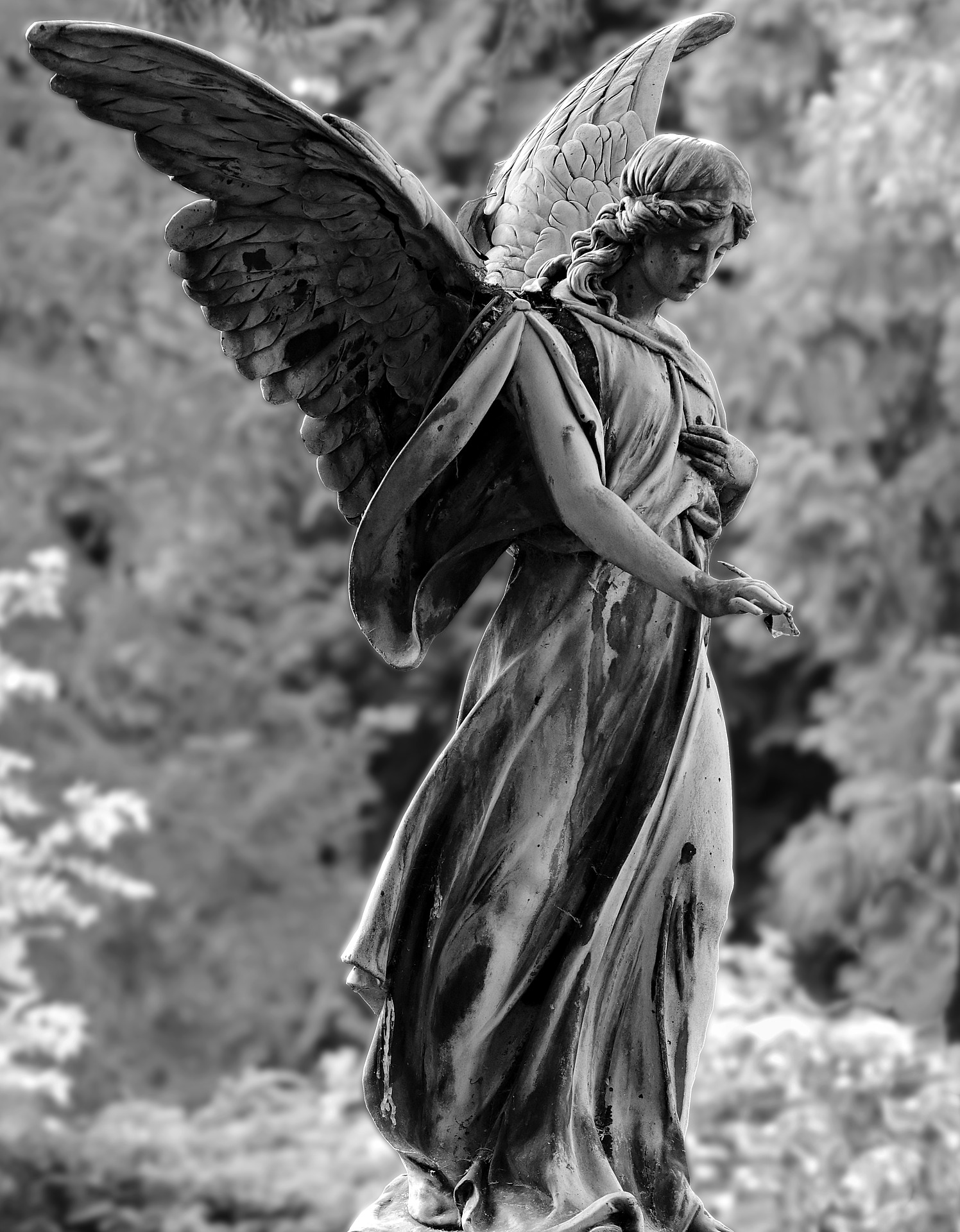 What Are Guardian Angels The Catholic View  A Nation of Moms