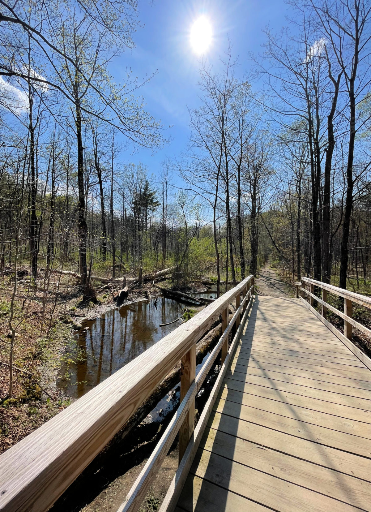 Anchor Diamond Park, Ballston Spa, NY A Nation of Moms