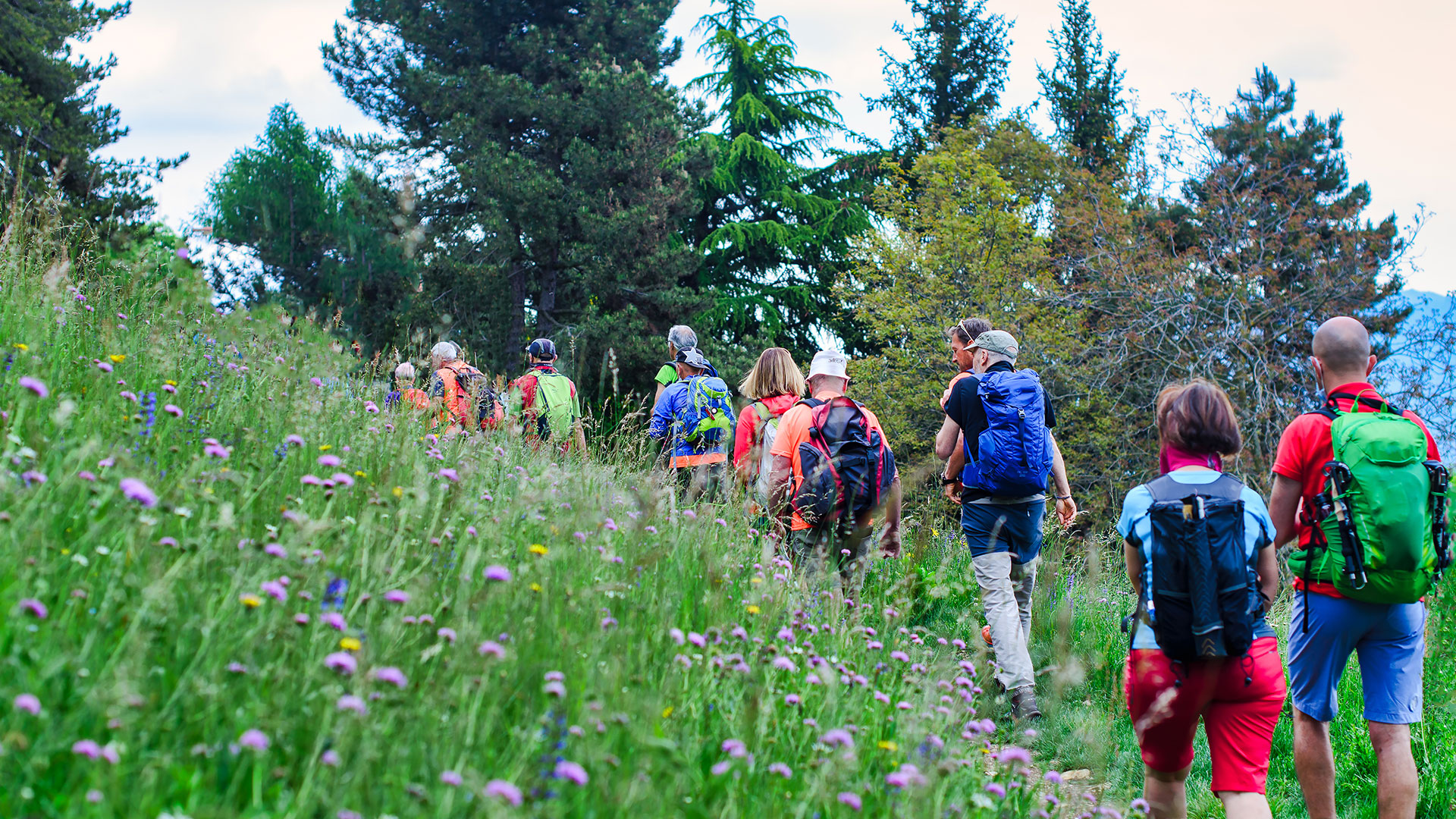 Incredible Social and Health Benefits of Hiking A Nation of Moms