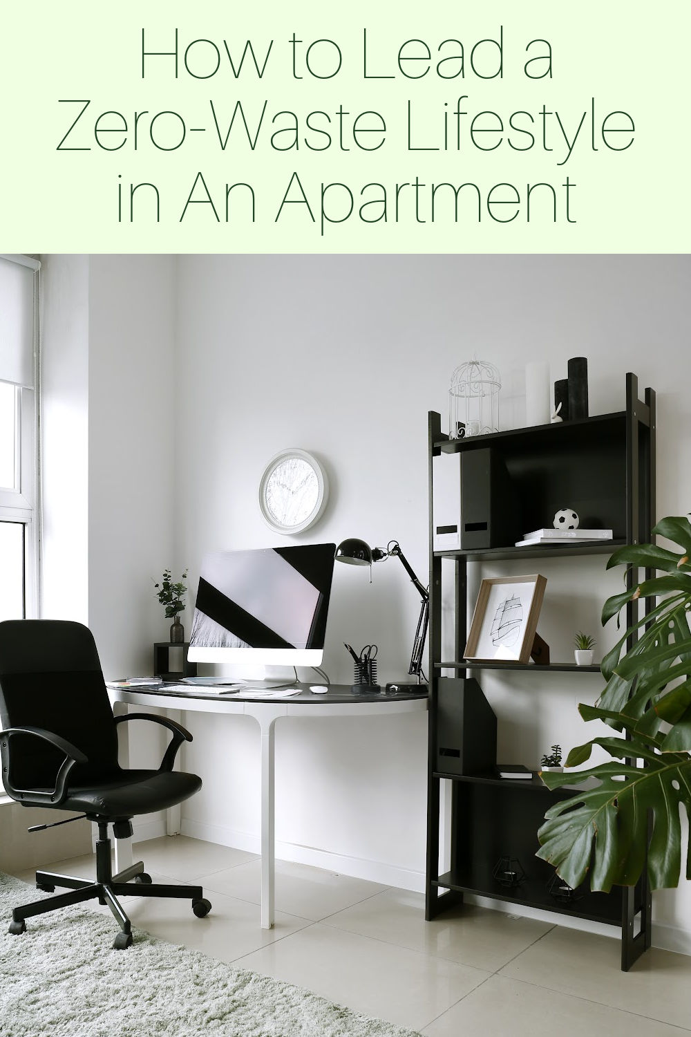 Image showcasing How to Lead a Zero-Waste Lifestyle in An Apartment: A Guide - A Nation ...
