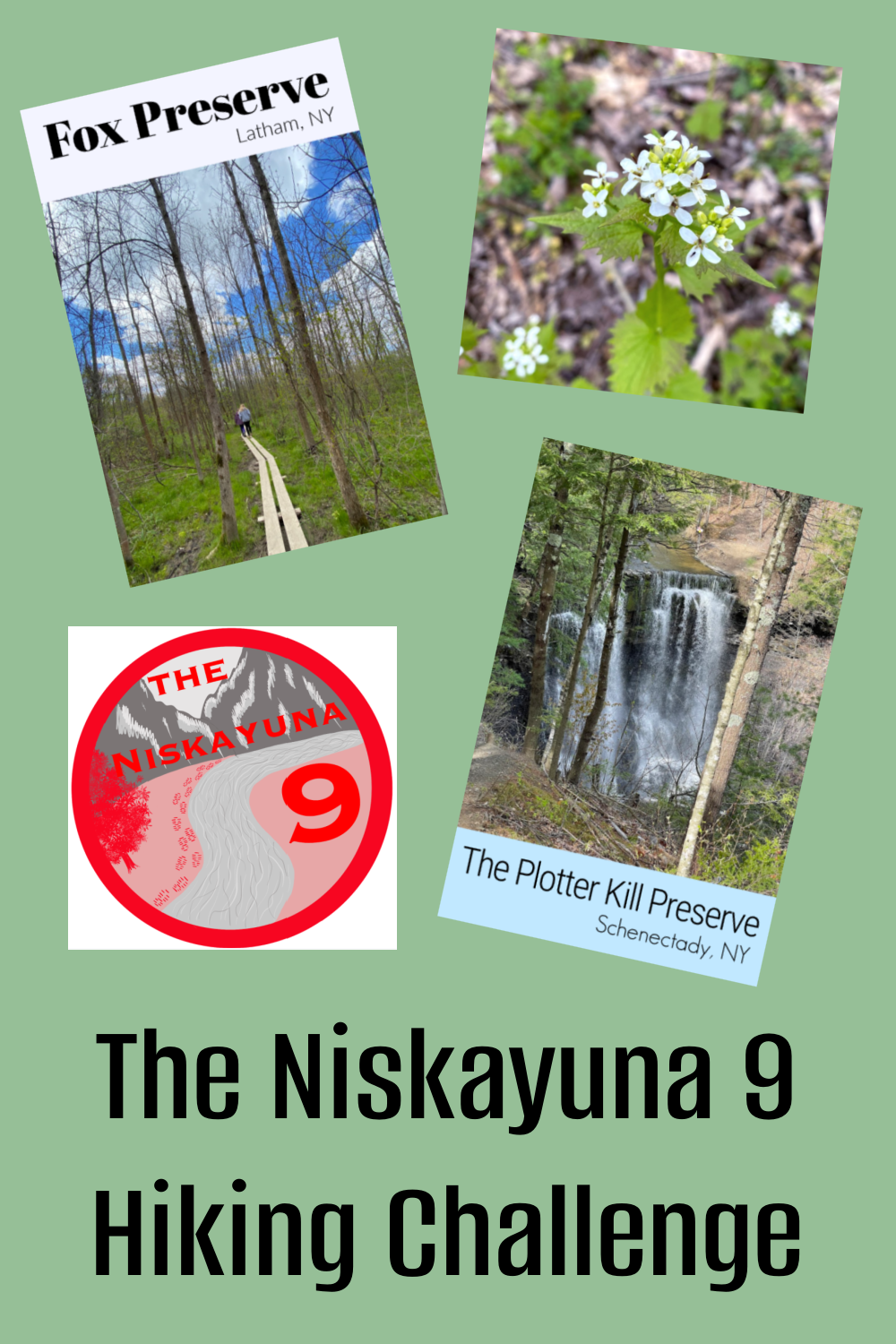 Niskayuna 9 Hiking Challenge - A Nation of Moms