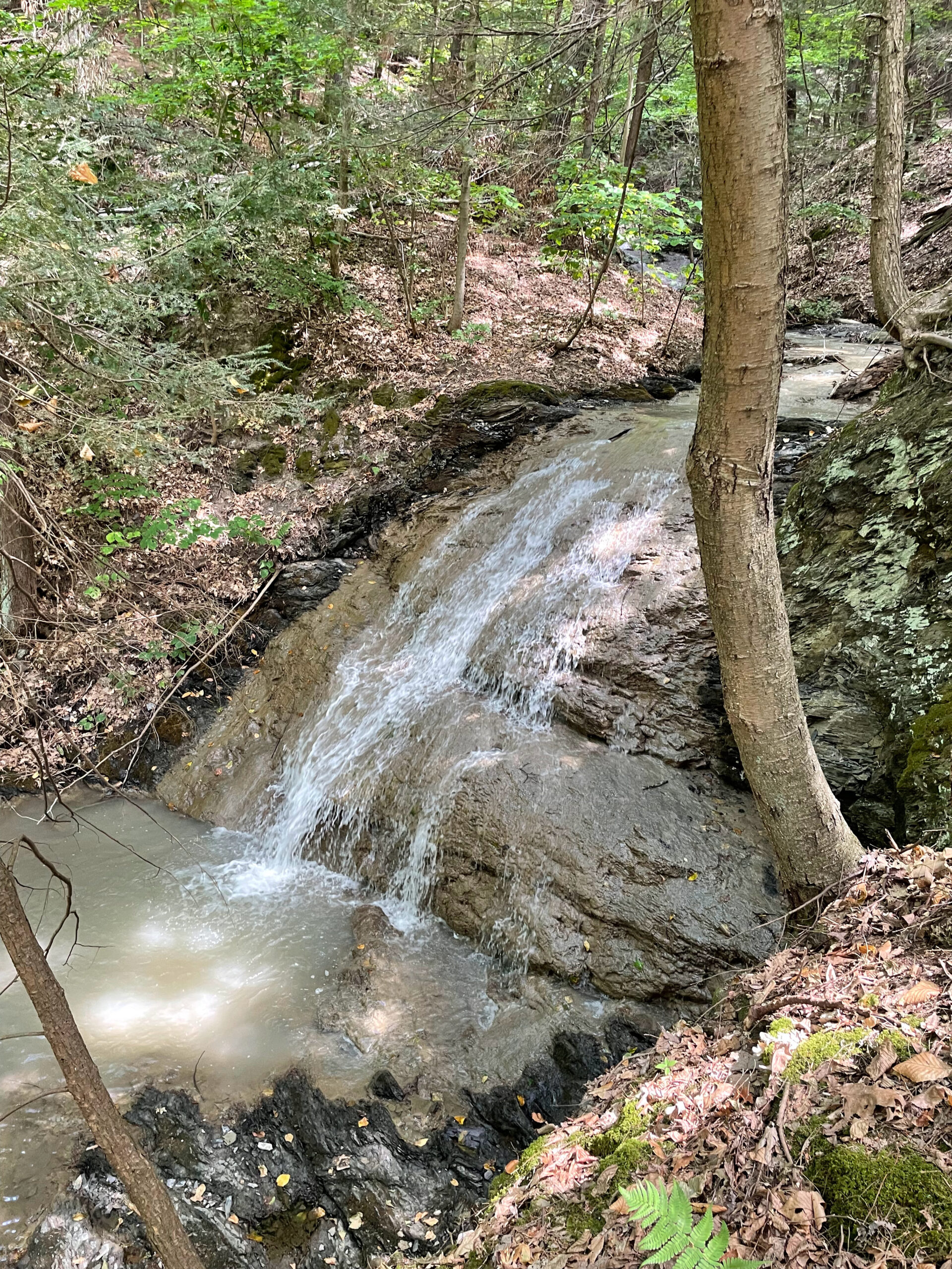 Rensselaer Technology Park Bloomingdale Brook Waterfall Trail, Troy, NY ...