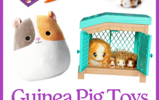 Cute guinea pig toys