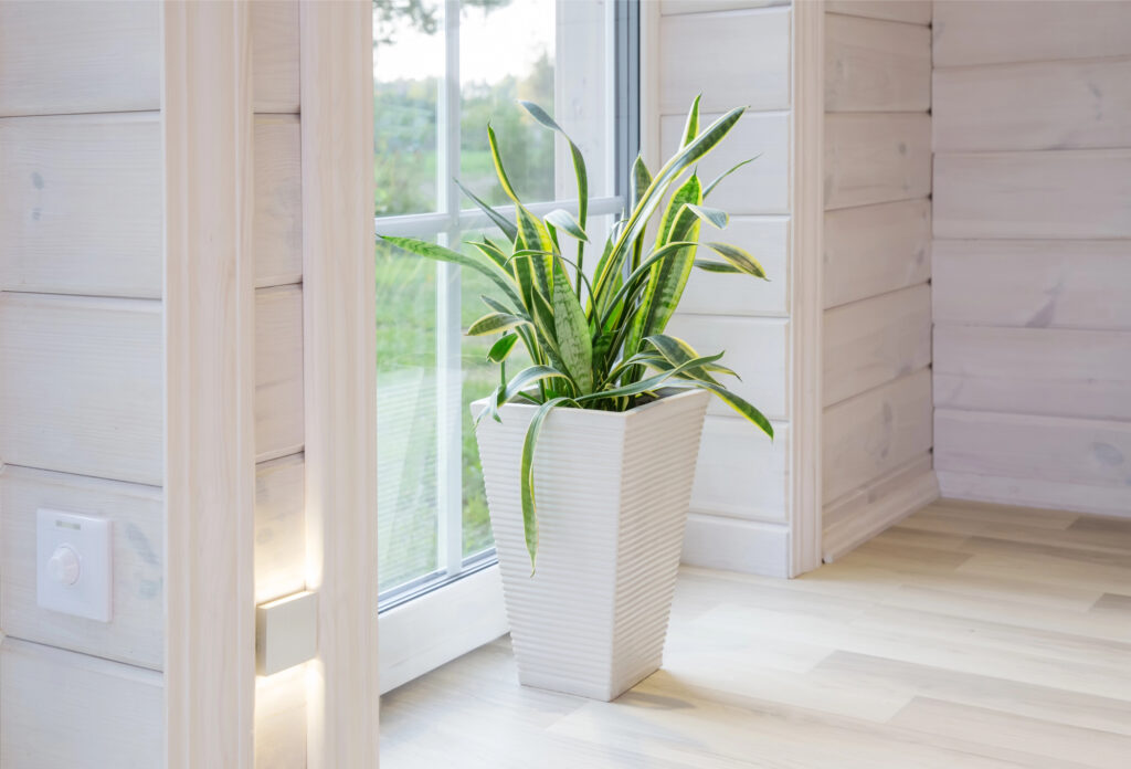 Image showcasing Eco-Friendly Home Improvements That Save You Money Today - A Nation of Moms