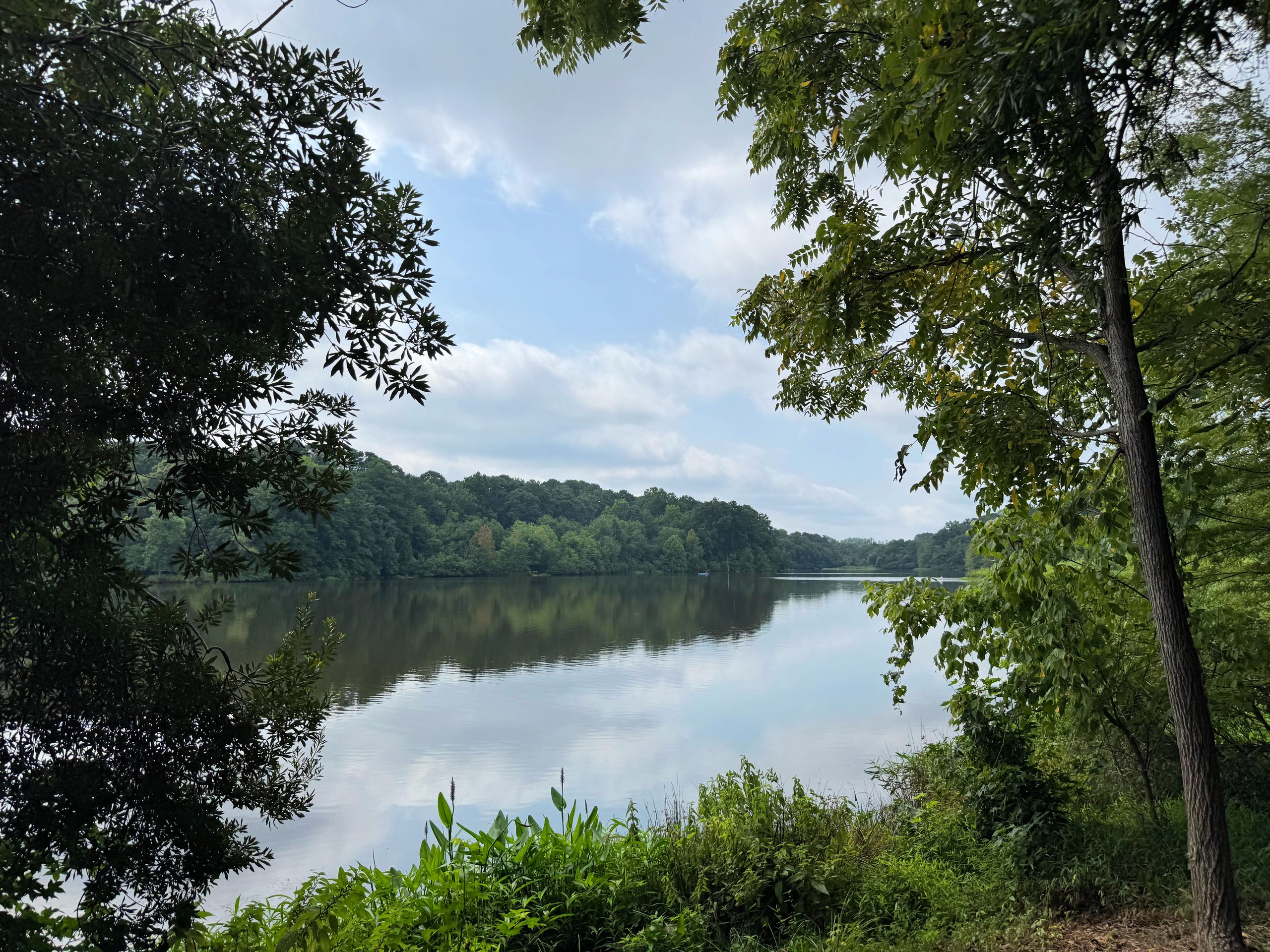 Bass Lake Park, Holly Springs, North Carolina.